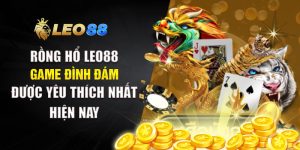 Rồng Hổ Leo88